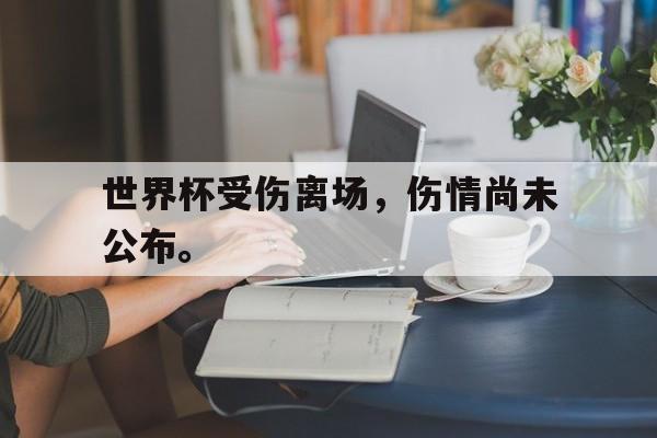 世界杯受伤离场，伤情尚未公布。