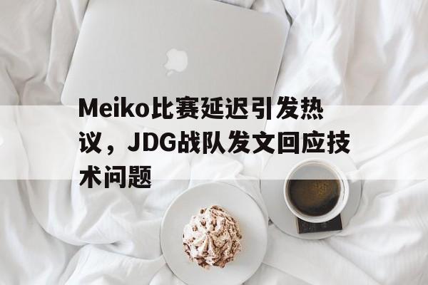 Meiko比赛延迟引发热议，JDG战队发文回应技术问题