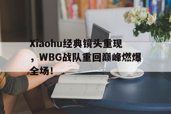 Xiaohu经典镜头重现，WBG战队重回巅峰燃爆全场！