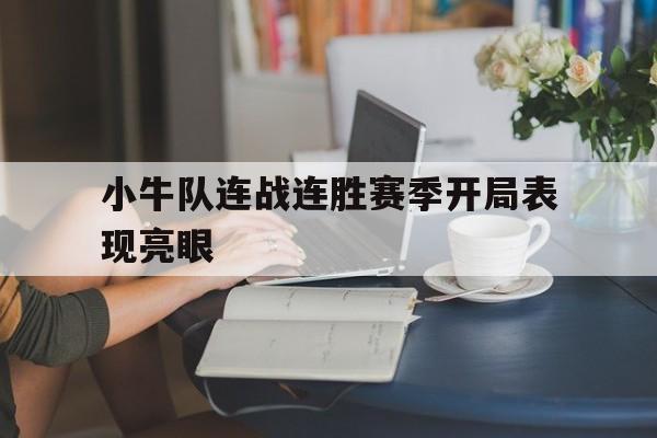 小牛队连战连胜赛季开局表现亮眼