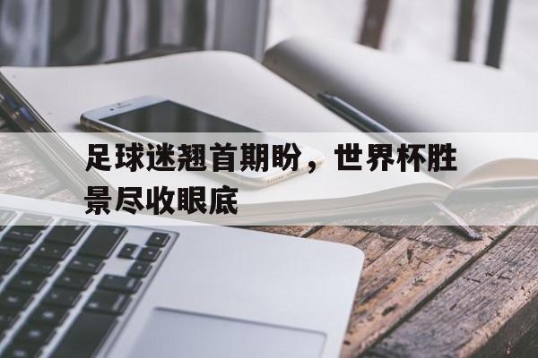 足球迷翘首期盼，世界杯胜景尽收眼底